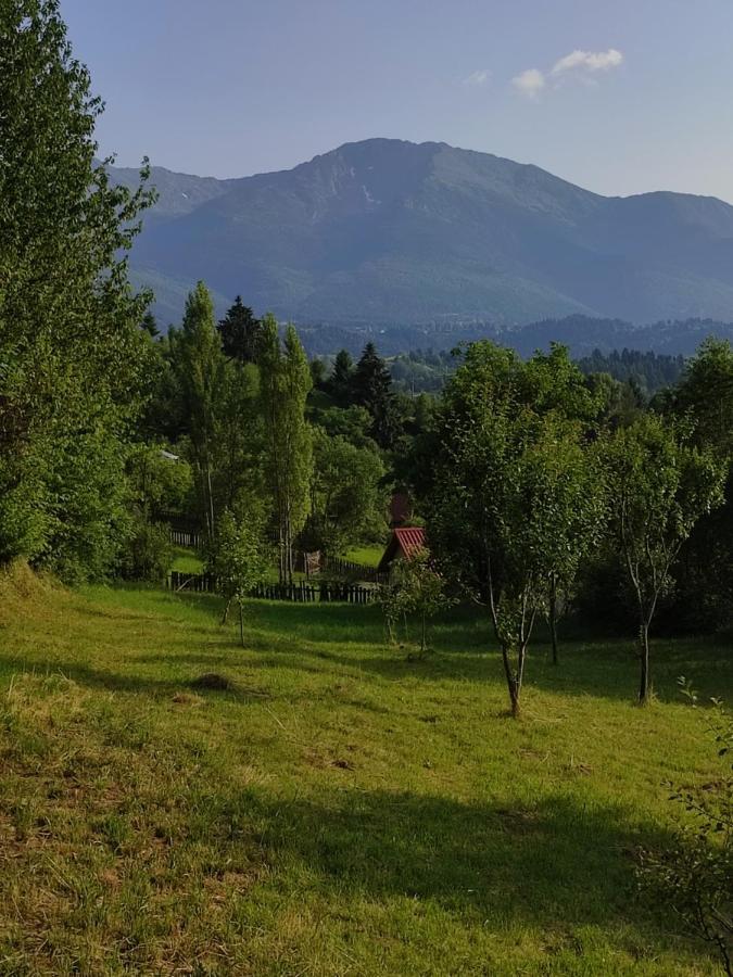 Casa Danci Centru Βίλα Borşa Εξωτερικό φωτογραφία