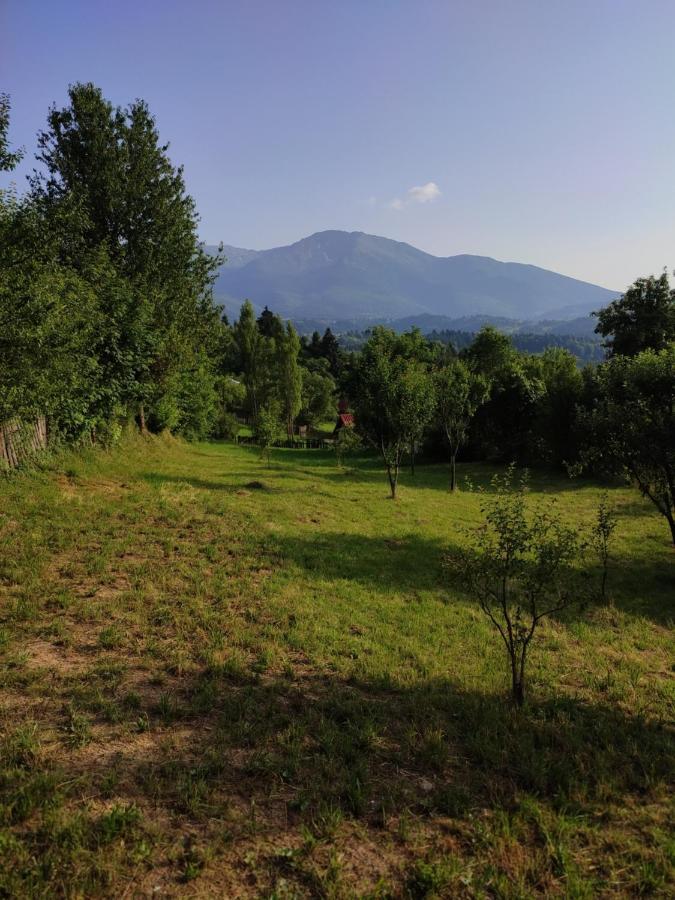 Casa Danci Centru Βίλα Borşa Εξωτερικό φωτογραφία