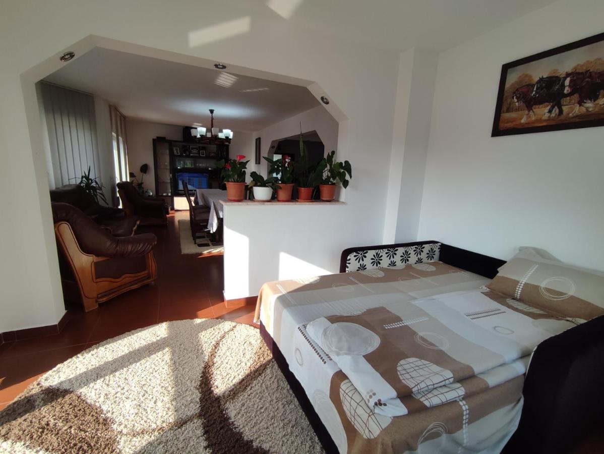 Casa Danci Centru Βίλα Borşa Εξωτερικό φωτογραφία