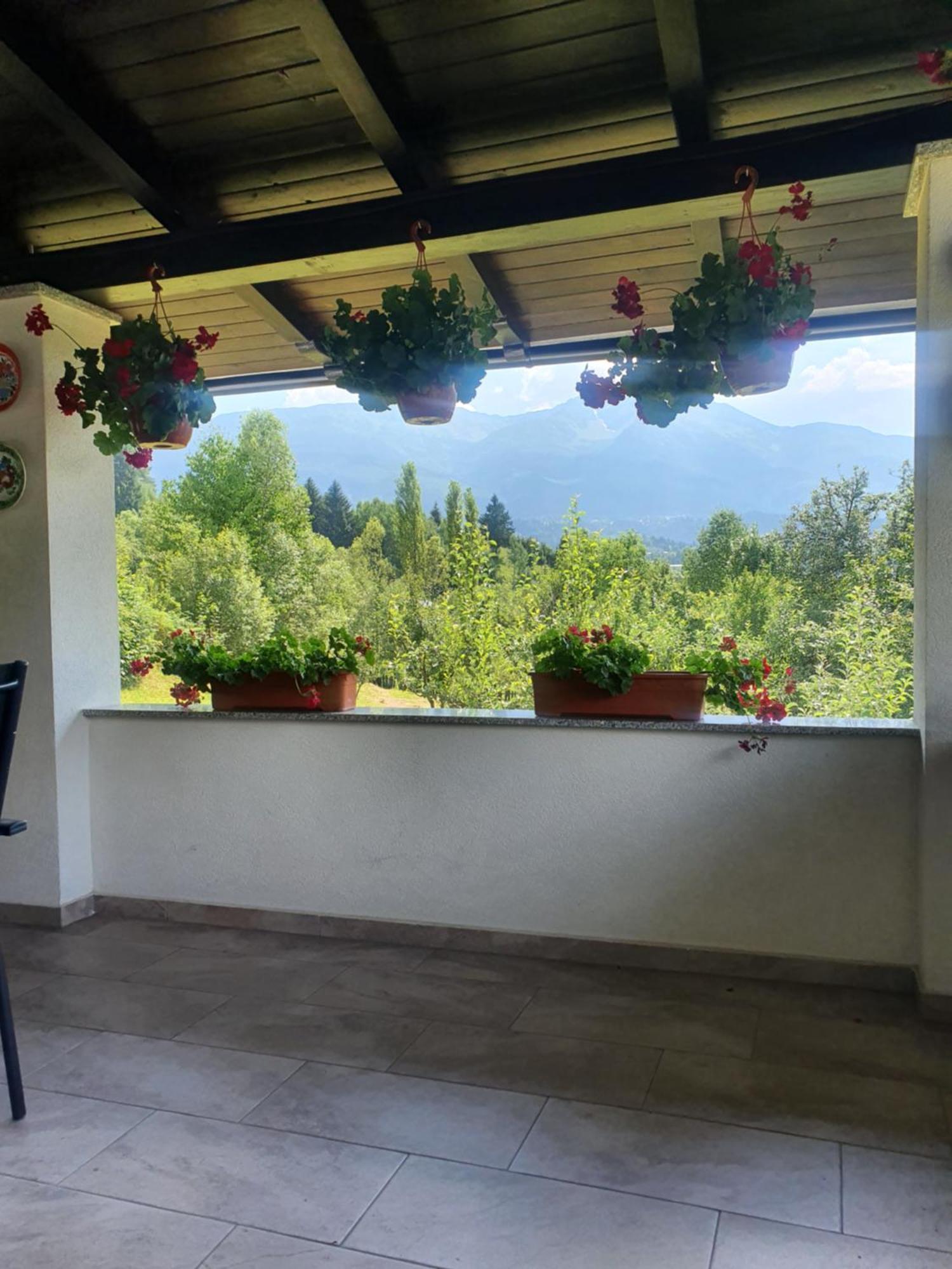 Casa Danci Centru Βίλα Borşa Εξωτερικό φωτογραφία